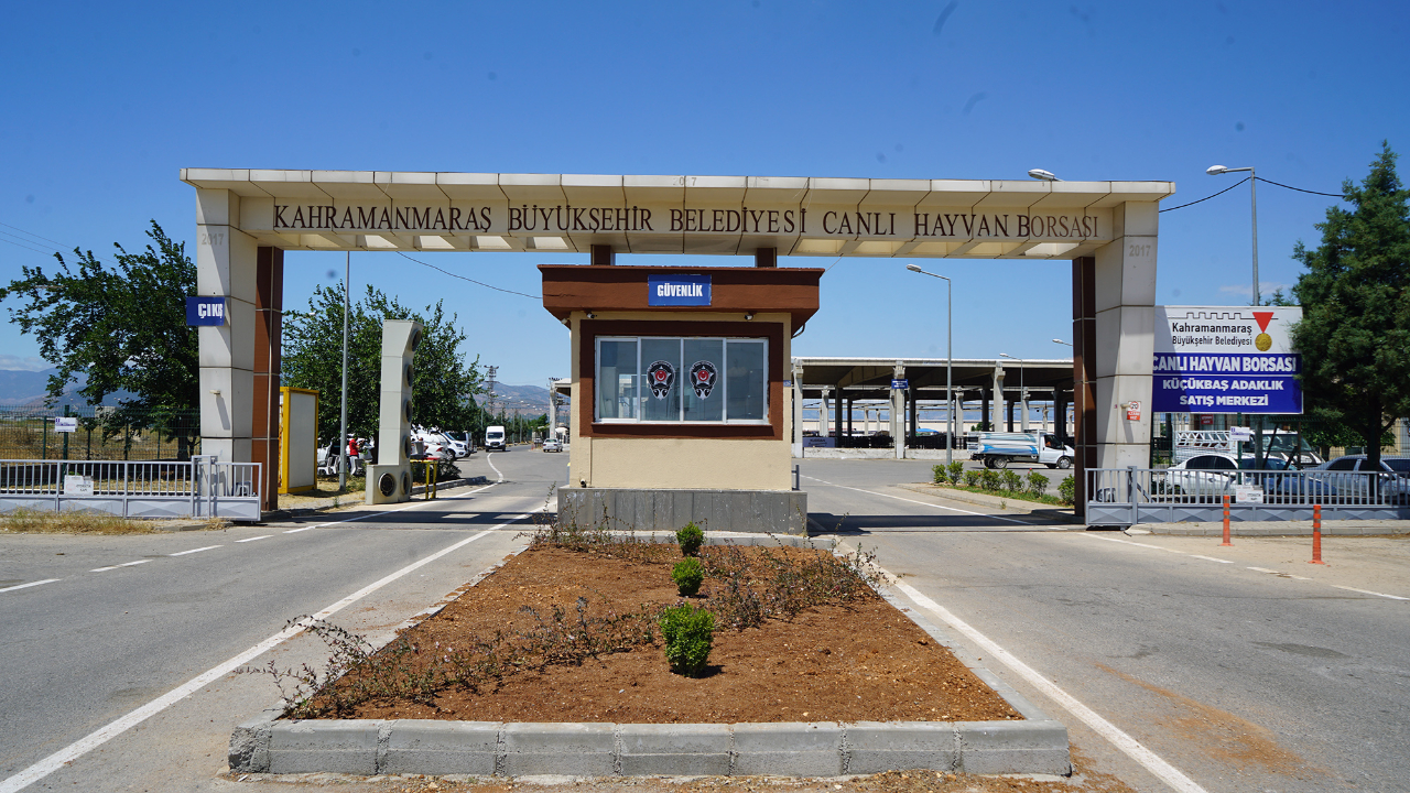 Hayvan Borsası’nda Hazırlıklar Tamamlandı