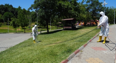 Kene Tehdidine Karşı Büyükşehir Sahada