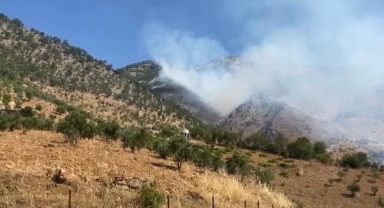 -Türkoğlu’nda orman yangını