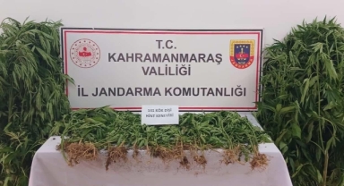 Kahramanmaraş’ta jandarmadan sıkı denetim