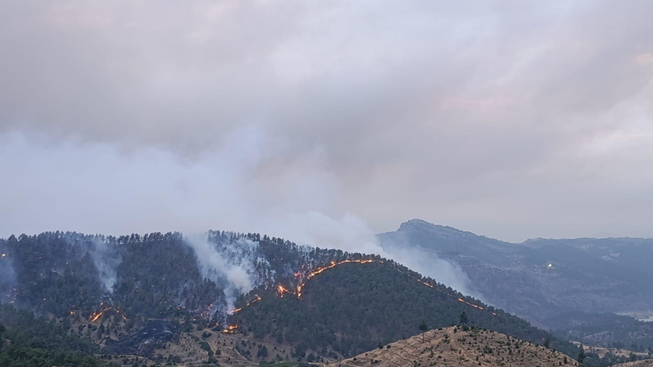 Kahramanmaraş'ta Orman Yangını Kontrol Altında