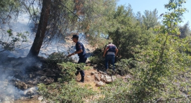 Kahramanmaraş’ta piknik yapmak istediler ormanı yaktılar