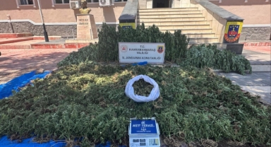 Pazarcık’ta kenevir operasyonu