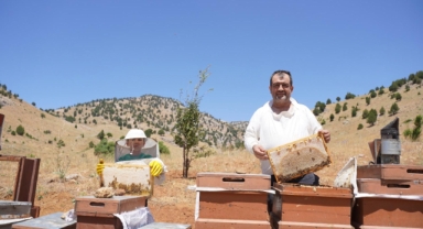 Kahramanmaraş’ta Bal Sağımı Başladı