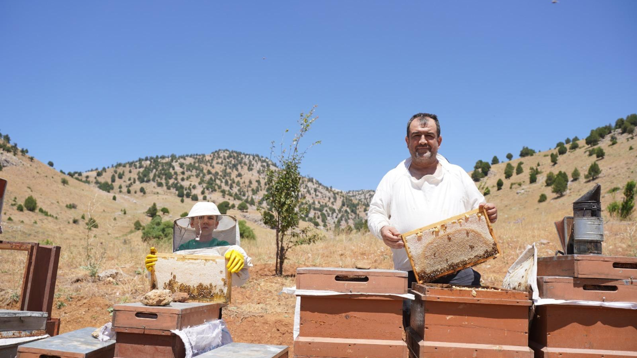 Kahramanmaraş’ta Bal Sağımı Başladı