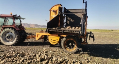 Depremzede çiftçiler pancar üretiminde devrim yaptı 