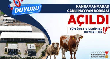 Canlı Hayvan Pazarı Açıldı