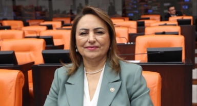 Şevkin; Yumurtalık ilçesinin sorunlarına mecliste çözüm aradı