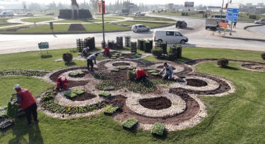 Büyükşehir Kavşakları 500 Bin Çiçekle Renklendiriyor