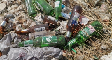 Kahramanmaraş’ta Çevre Katliamı: Zeytinlik Alan Alkol Şişeleriyle Dolu