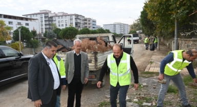 Türkoğlu Belediyesi’nden “Temizlik Seferberliği”: Başkan Mehmet Karaca Sahada İncelemelerde Bulundu