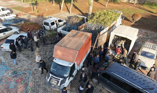 Büyükşehir’den Bin 500 Üreticiye 193 Bin Adet Fidan Desteği