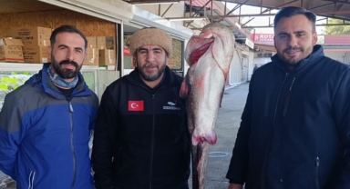 Türkiye’nin Soğuk Tatlı Sularından Çıkan Dev Lezzet: Ceyhan Yayın Balığı