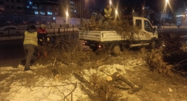 Büyükşehir Kış Mesaisini Sürdürüyor; Kırılan Dallara Anında Müdahale
