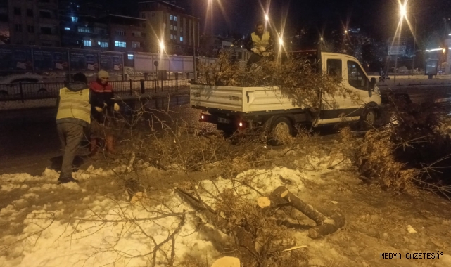 Büyükşehir Kış Mesaisini Sürdürüyor; Kırılan Dallara Anında Müdahale