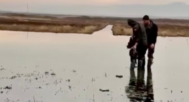 Kahramanmaraş’ta Kaçak Avcılara Geçit Yok: 5 Kişiye Cezai İşlem