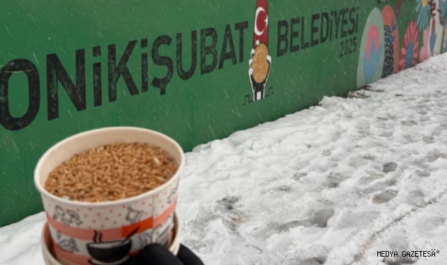 Onikişubat Belediyesi Sokaktaki Canları Unutmuyor