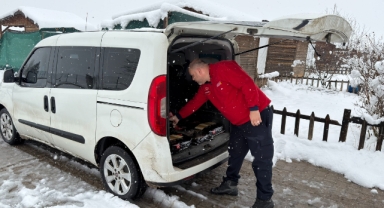 Soğuk Havada Büyükşehir’den Can Dostlara Şefkat Eli