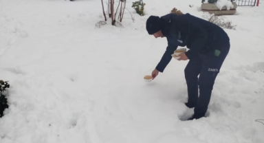 Türkoğlu Belediyesi’nden Soğuk Kış Günlerinde Sokak Hayvanlarına Şefkat Eli