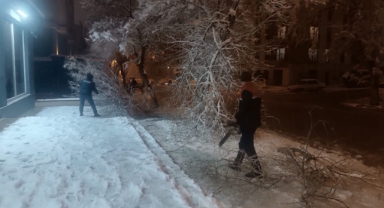 Yoğun Kar Yağışıyla Kırılan Ağaç Dallarına Hızlı Müdahale