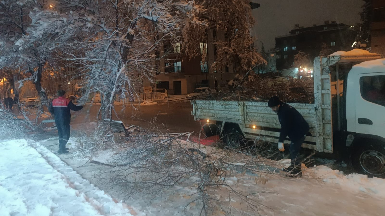 Yoğun Kar Yağışıyla Kırılan Ağaç Dallarına Hızlı Müdahale