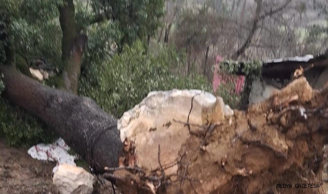 -Andırın’da Hortum Hayatı Felç Etti -Çatılar Uçtu, Asırlık Ağaçlar Devrildi