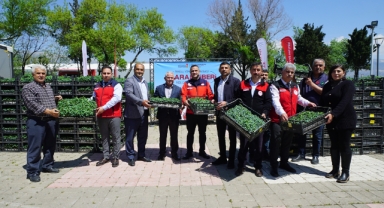 Büyükşehir’den Üreticiye 650 Bin Hibe Biber Fidesi