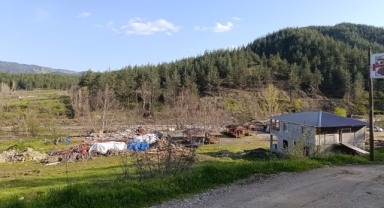 CHP’li Ateş: Fırnız’da Ağaç Katliamına ve Yıkıma Derhal Son Verin!