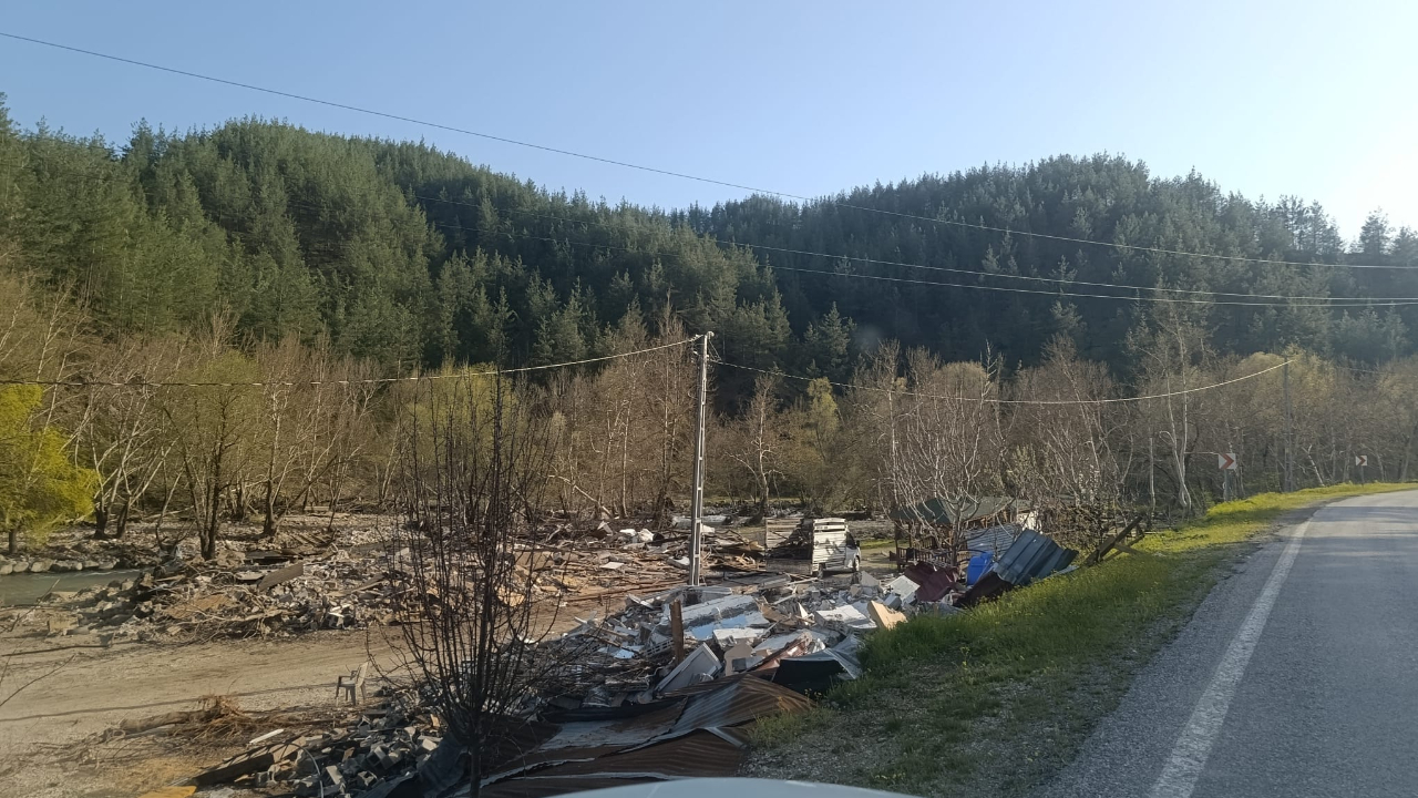 CHP’li Ateş: Fırnız’da Ağaç Katliamına ve Yıkıma Derhal Son Verin!