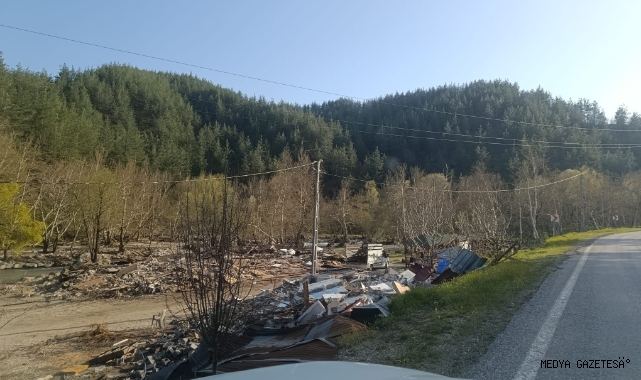 CHP’li Ateş: Fırnız’da Ağaç Katliamına ve Yıkıma Derhal Son Verin!