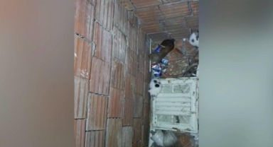 Kahramanmaraş’ta yavru kediler için itfaiye ekipleri seferber oldu 