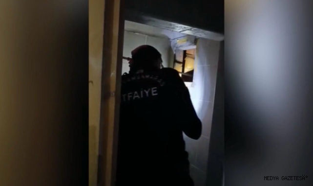 Kahramanmaraş’ta yavru kediler için itfaiye ekipleri seferber oldu 