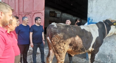 Kahramanmaraş’ta Kurban Pazarlarında Hareketlilik Başladı