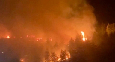 Kahramanmaraş’ta Ormanı Yakan Sanığa Hapis ve Milyonluk Tazminat