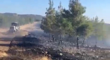Gaziantep’te orman yangını kontrol altına alındı