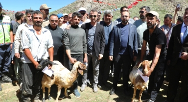 KAHRAMANMARAŞ'TA YÖRÜK KÜLTÜRÜNE BÜYÜK BULUŞMA: 1. GELENEKSEL YAŞIL YAYLA KOYUN KIRPMA ŞENLİĞİ YOĞUN KATILIMLA GERÇEKLEŞTİRİLDİ