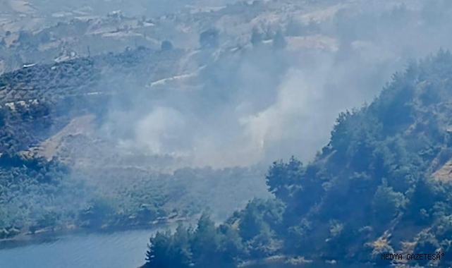 Kahramanmaraş’ta Ziraat Yangını Kontrol Altına Alındı
