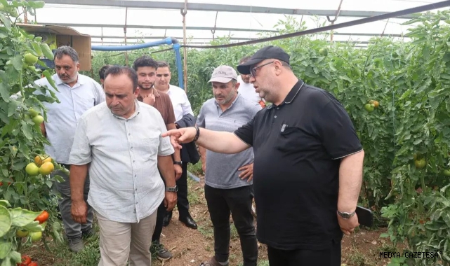 DULKADİROĞLU’NDA ÜRETİCİYE DESTEK MESAJI: BAŞKAN MEHMET AKPINAR GÜZELYURT’TA SERA ÜRETİCİLERİYLE BULUŞTU