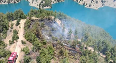 Kahramanmaraş’ta orman yangını 