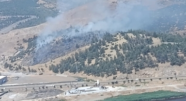 Kahramanmaraş’ta orman yangını kontrol altına alındı