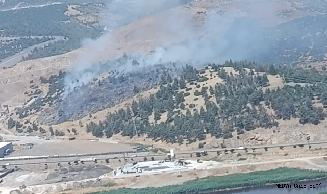 Kahramanmaraş’ta orman yangını kontrol altına alındı