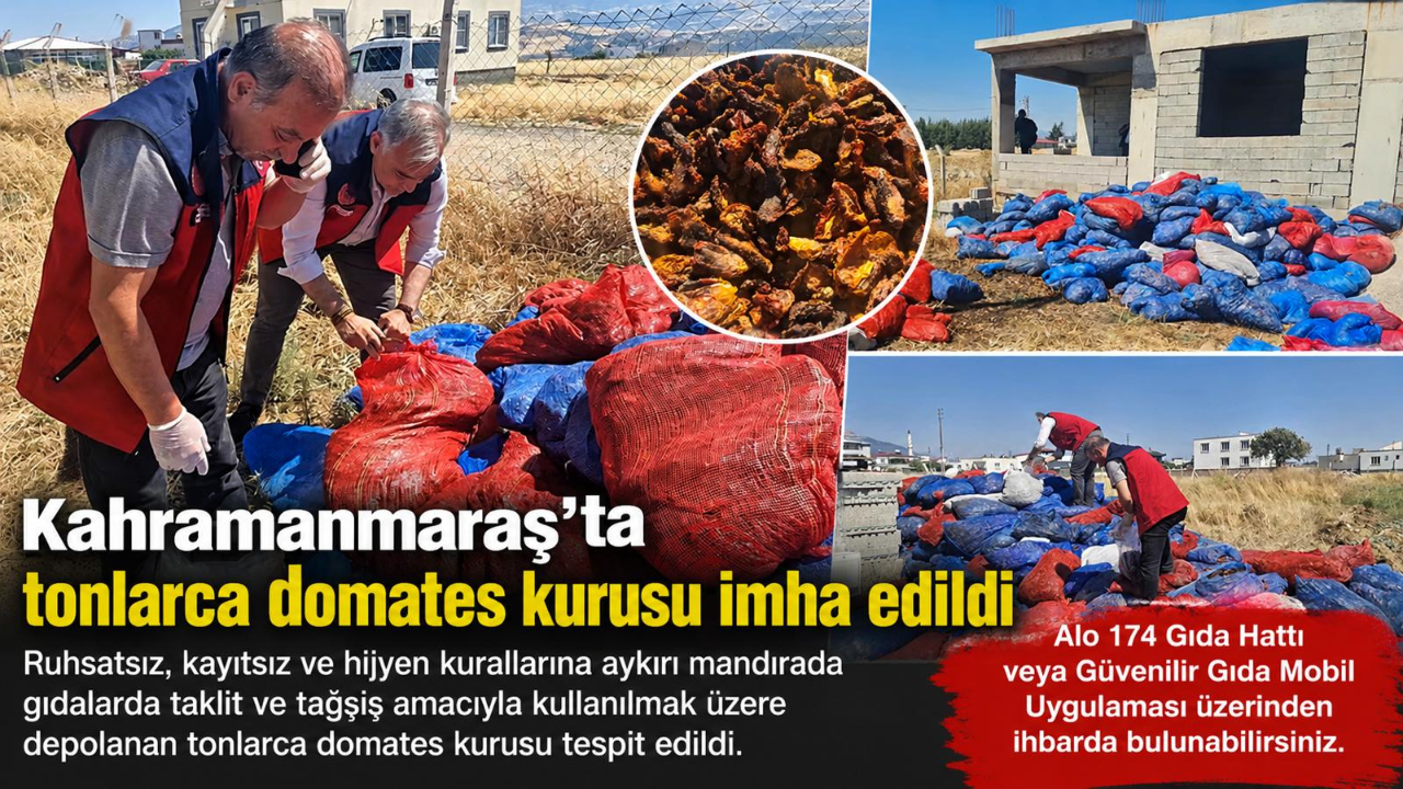 -Kahramanmaraş’ta ruhsatsız mandırada tonlarca domates kurusu imha edildi