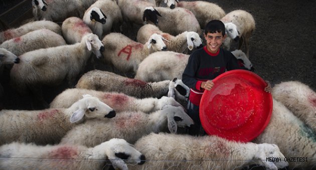 7. TARIM ve İNSAN KONULU FOTOĞRAF SERGİSİ