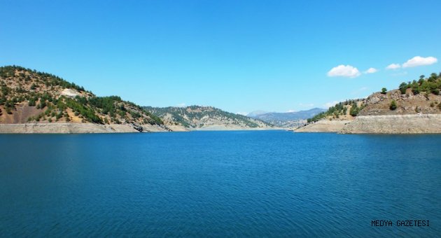810 BİN YAVRU SAZAN BALIĞI BARAJLARIMIZA BIRAKILIYOR...