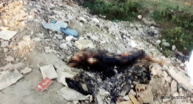 Adana'da 13 yıllık faili meçhul cinayet aydınlatıldı