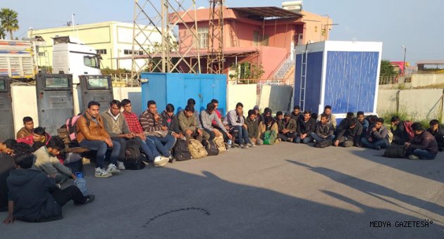 Adana'da 81 düzensiz göçmen yakalandı