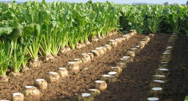 AFŞİN’DE ŞEKERPANCARI BİLGİLENDİRME TOPLANTISI YAPILDI