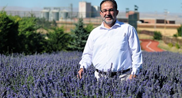 Afşin, lavanta tarlalarıyla turizme kapı aralıyor