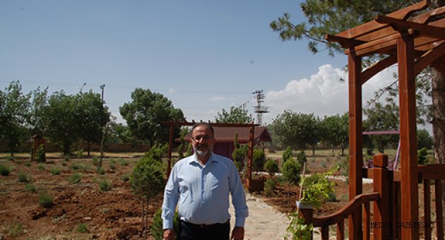 Afşin Rabia Parkı'nda lavanta fotoğraf platosu oluşturuldu