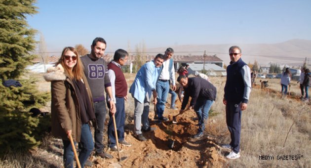 Afşin'de üniversite öğrencileri bin 500 fidan dikti